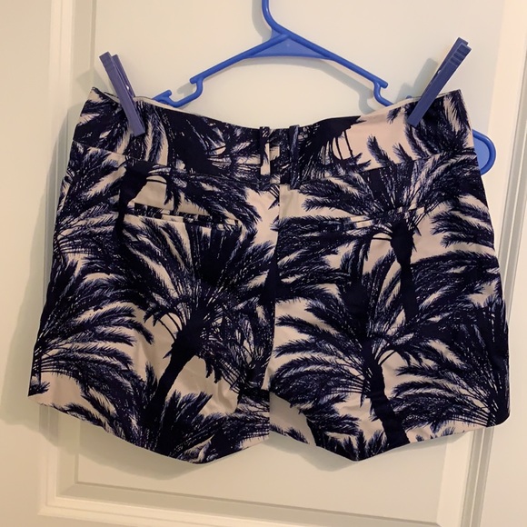 The limited shorts - Picture 3 of 3